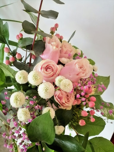 Koala Flors