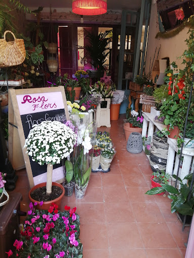 ROSA FLORS