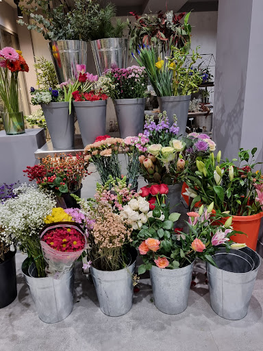 Cardona floristeria