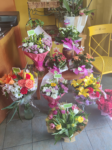 Flors Mateu
