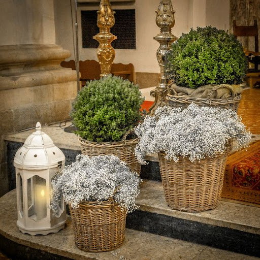 Floristerías La Mimosa