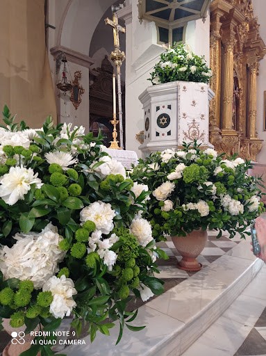 Amapola Floristerías