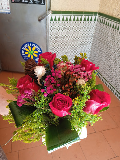 Floristeria Kika