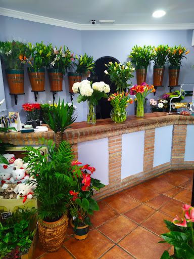 Floristería Rafael