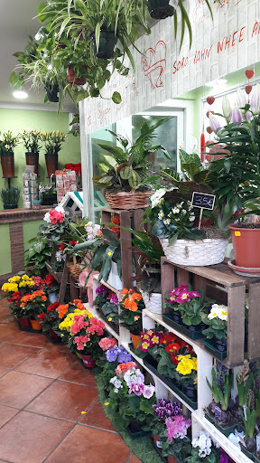 Floristería Rafael