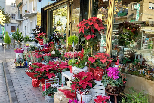 Floristería Verdegal