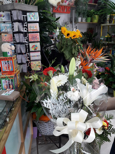 Floristerías La Mimosa