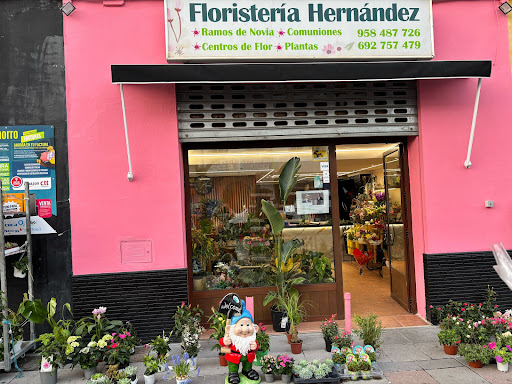 Floristería Hernández