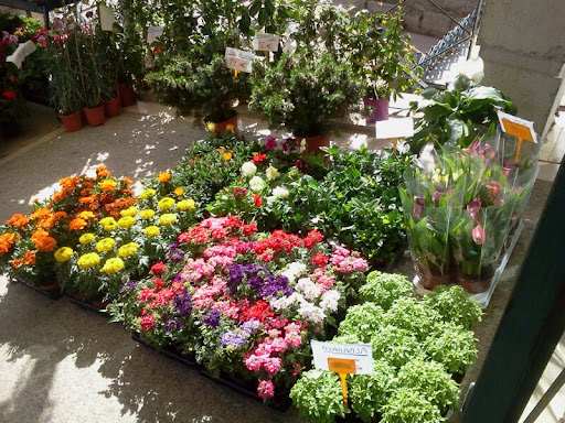 Floristerías Jericó