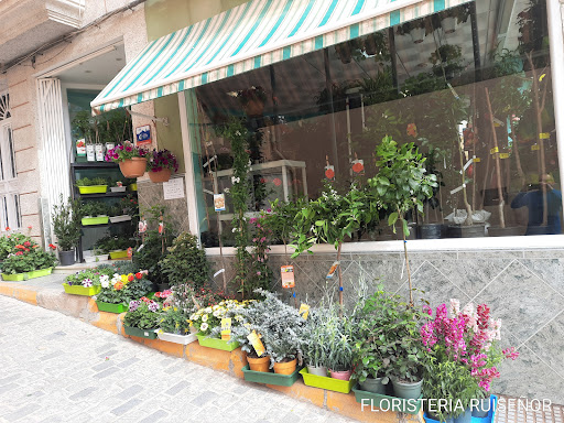 Floristería Pajareria Ruiseñor