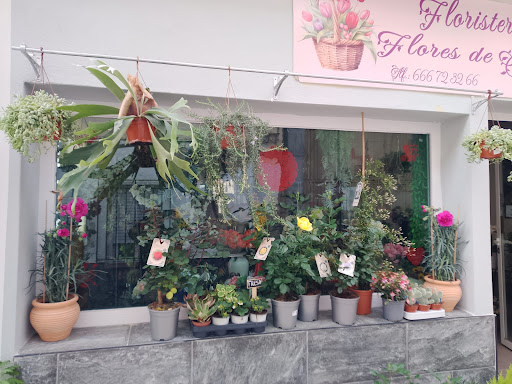 Floristería Flores de Salar