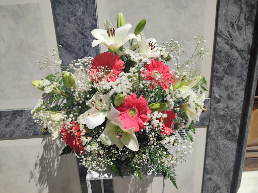 Campiflower