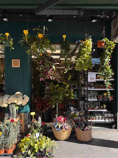 Floristería Granada - Floristas Hatural