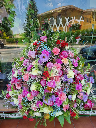 Floristería Real Ogijares