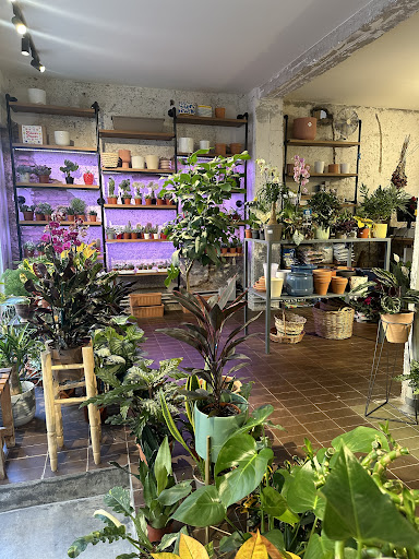 Floristería PLANTERA