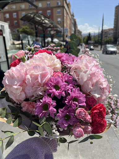 Floristería PLANTERA