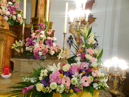 Vaneflor