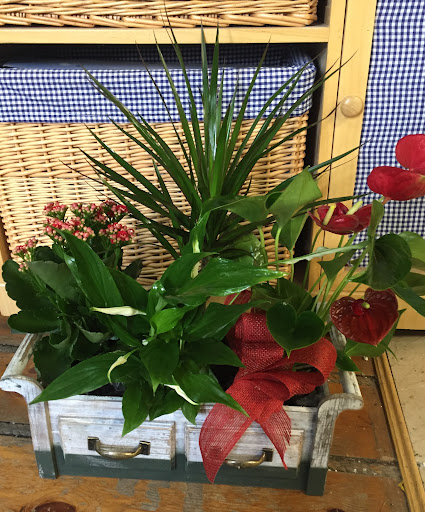 Flores Susan