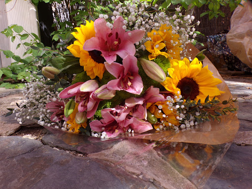 Flores Jazmin