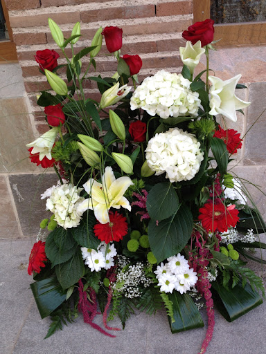 Floristería Verdenace