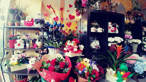 Floristería Hydra