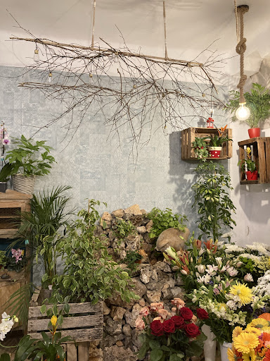 Floristería zinnias