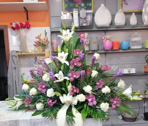 Muxía Flor