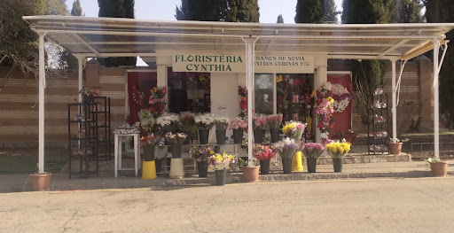 FLORISTERÍA CYNTHIA