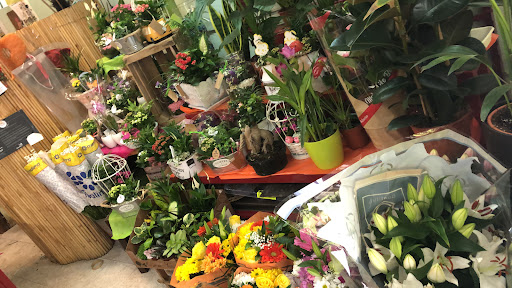 FLOR DE LA ALCARRIA