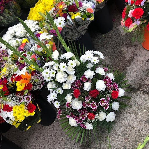 FLORISTERÍA CYNTHIA