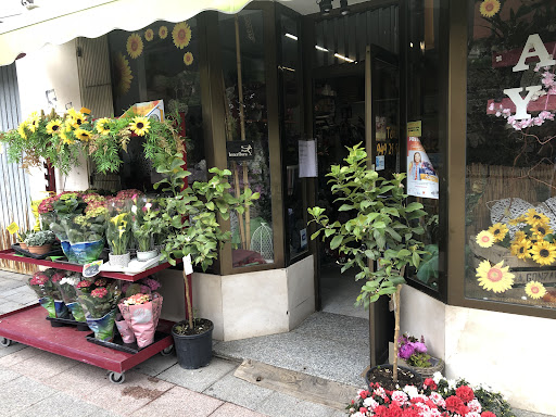 FLOR DE LA ALCARRIA