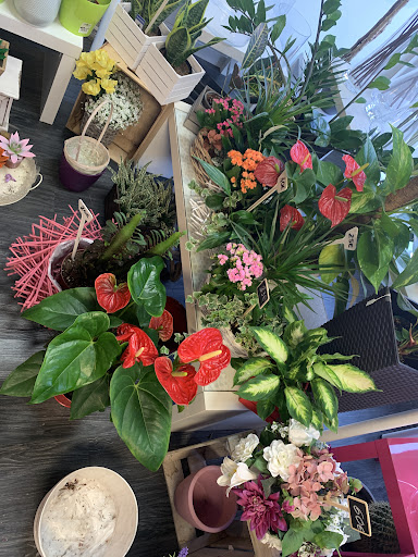 Ikebana Floristería