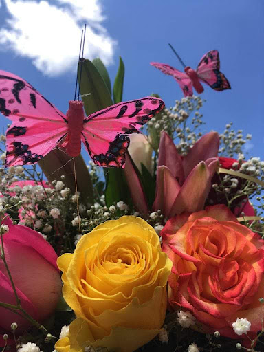 Floristería Hydra