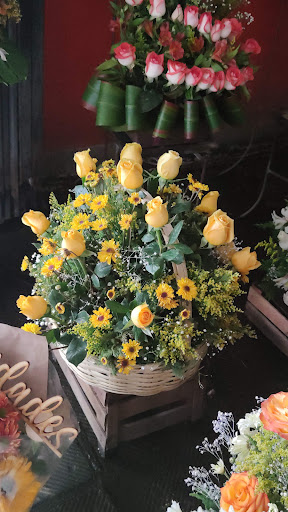 Florería Lia