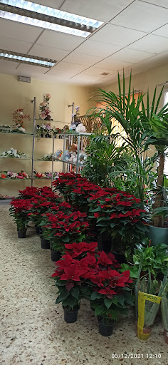 Floristería Marymar