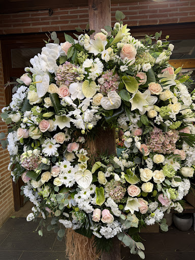 Floristería Verdenace