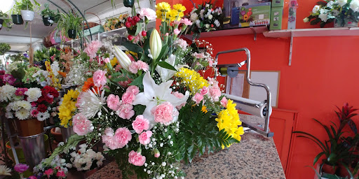 Floristería "Milagros"
