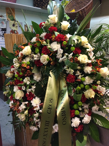 FLOR DE LA ALCARRIA