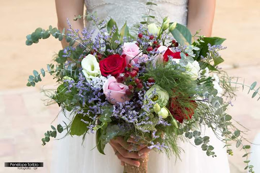 Floristería VIOLETAS