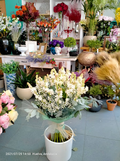 Floristería Anaflor