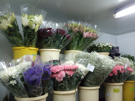 ALMACÉN DE FLORES TODOS LOS PÚBLICOS TELLOFLOR