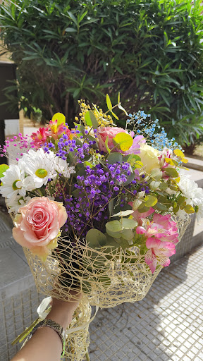 FLORISTERIA LAS ROSAS