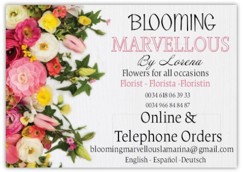 Blooming Marvellous, San Fulgencio