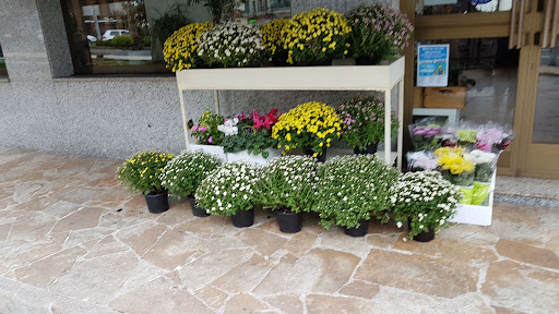Xulian Floristeria