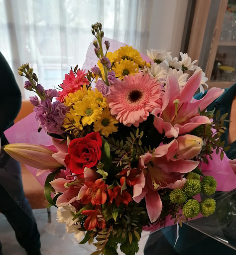 FLORISTAS SANT JOAN S.L.U