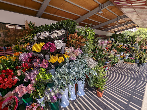 Floristeria Alicante - TINA FLORISTAS MERCADO (Flores a domicilio)