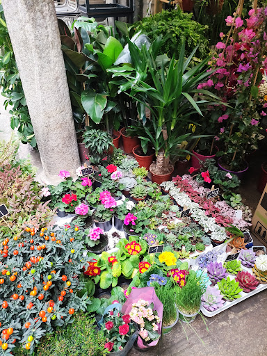 Floristería Ángela Garrote