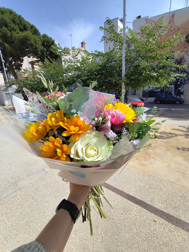 La Roseta flores y plantas Mutxamel