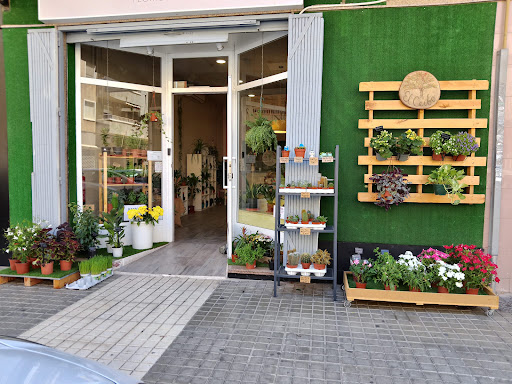 El Ceibo flores&deco