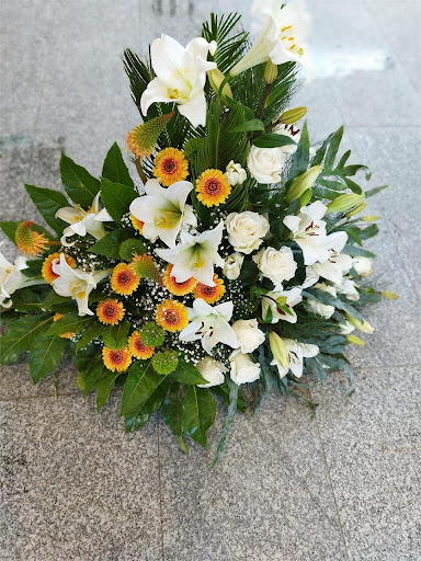 Floristería Olmo